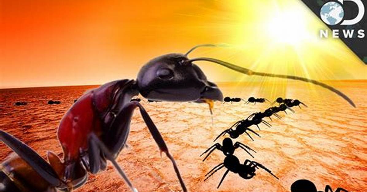 Which Animals Get Sunburns?