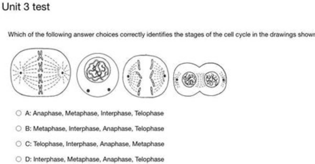 Which Answer Correctly Identifies a Cell-Cycle Checkpoint with a Criterion for Passing It?