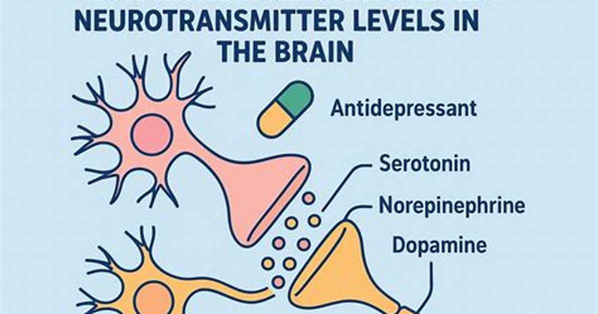 Which Antidepressants Affect Dopamine