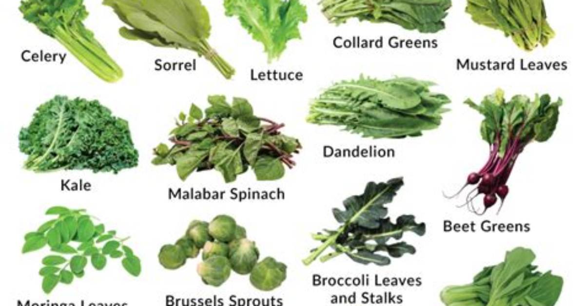 Which Are Leafy Vegetables