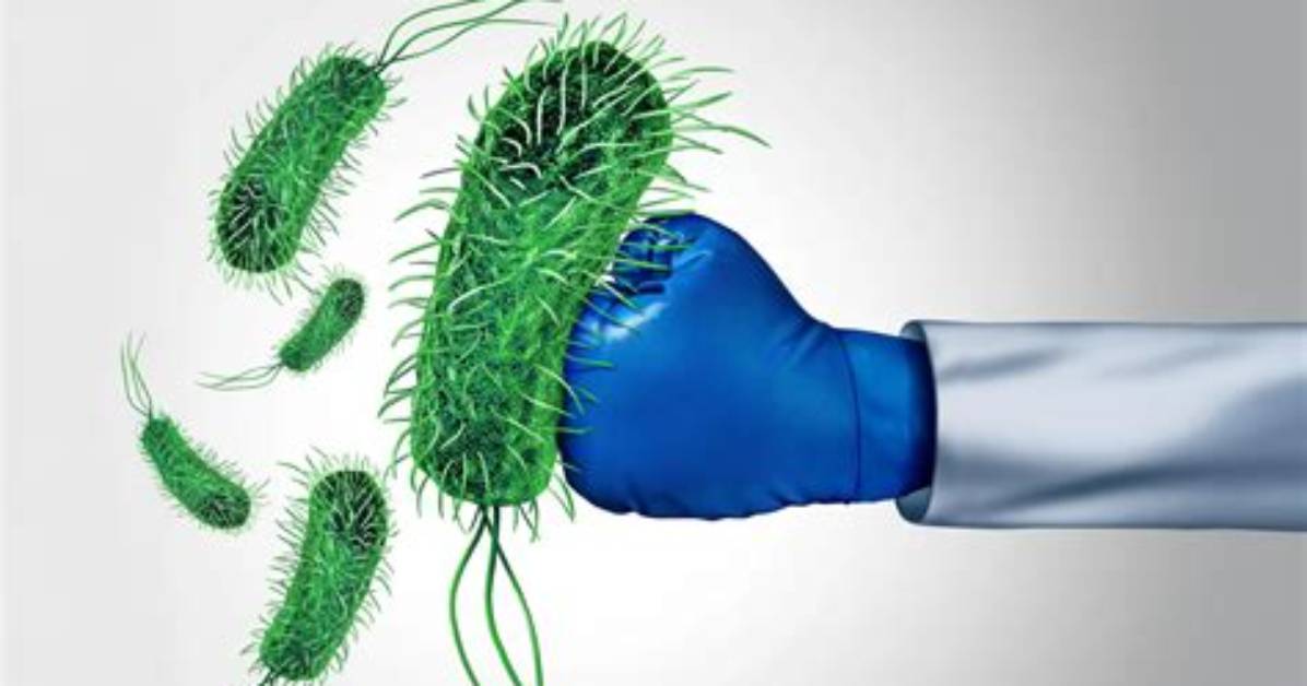 Which Bacteria Cannot Be Killed?