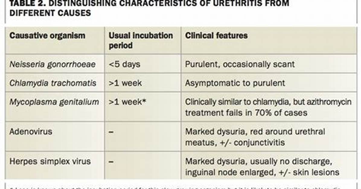 Which Bacteria Causes Urethritis?