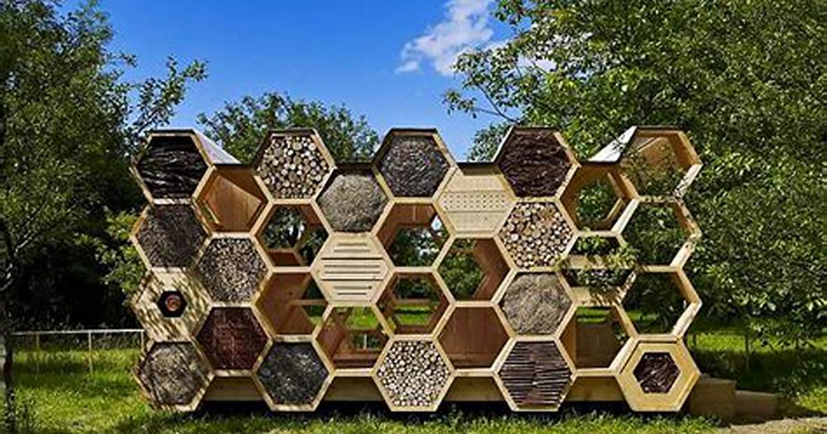 Which Bees Use Bee Hotels