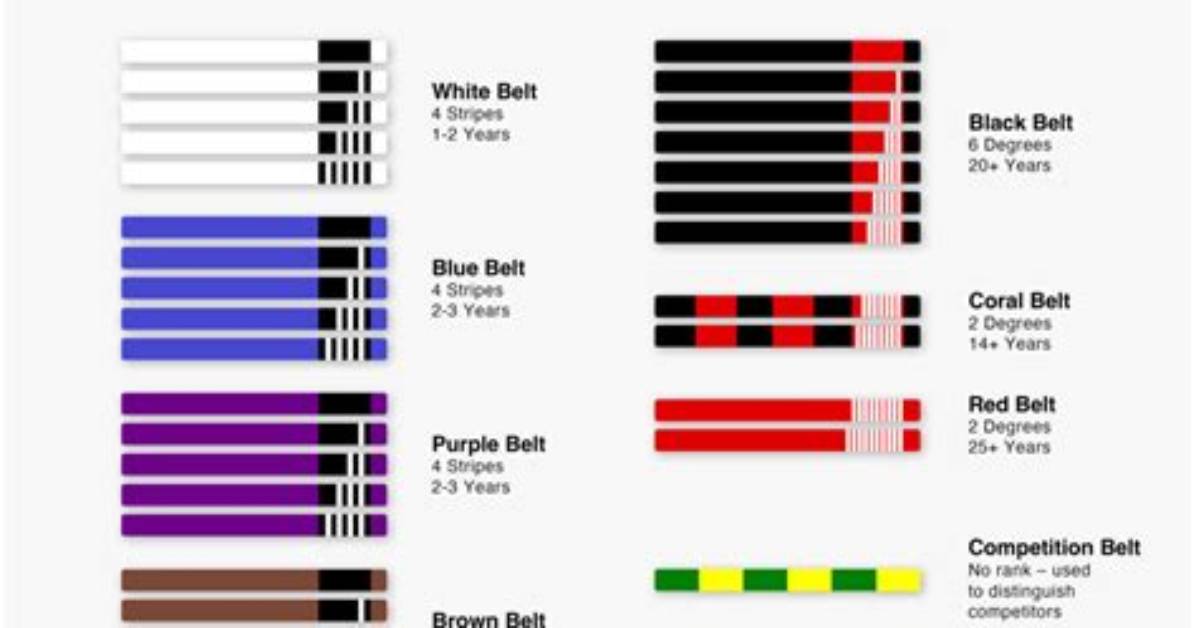 Which Belt Is the Highest Level?