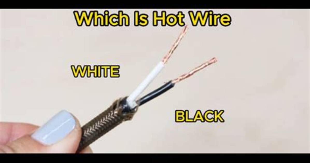 Which Black Wire Is Hot?