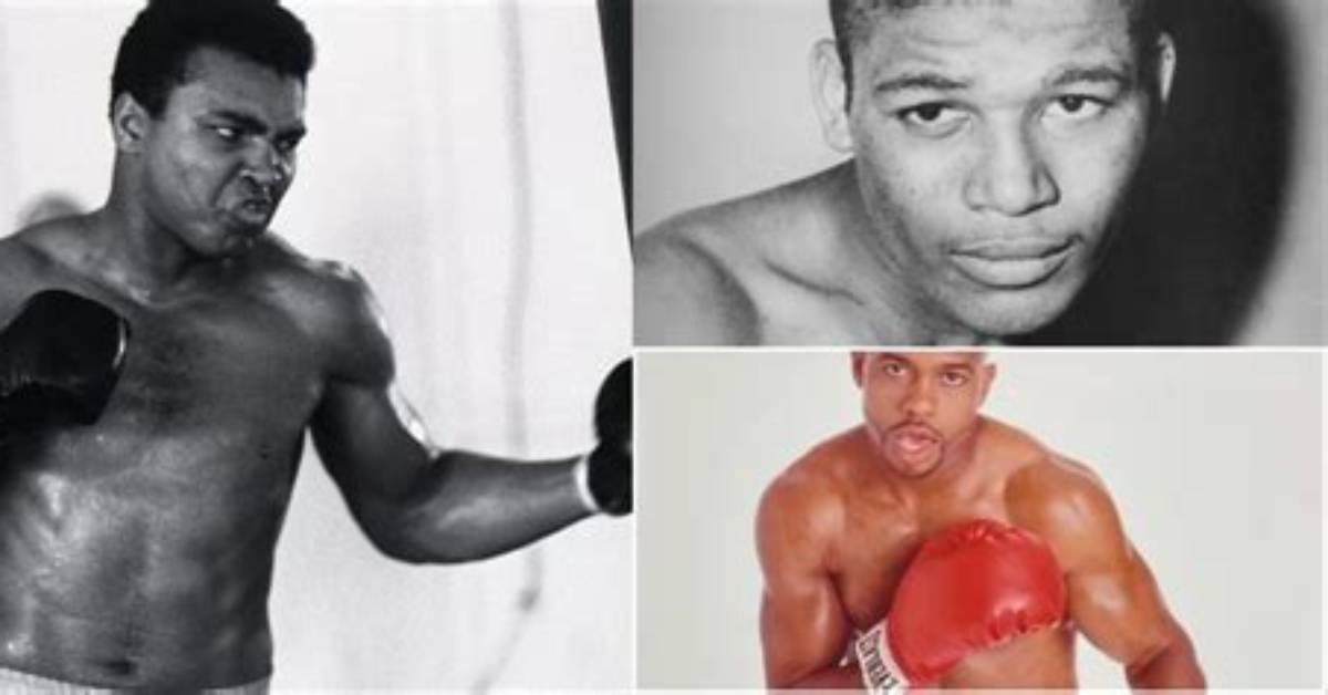 Which Boxer Has Most Knockouts?