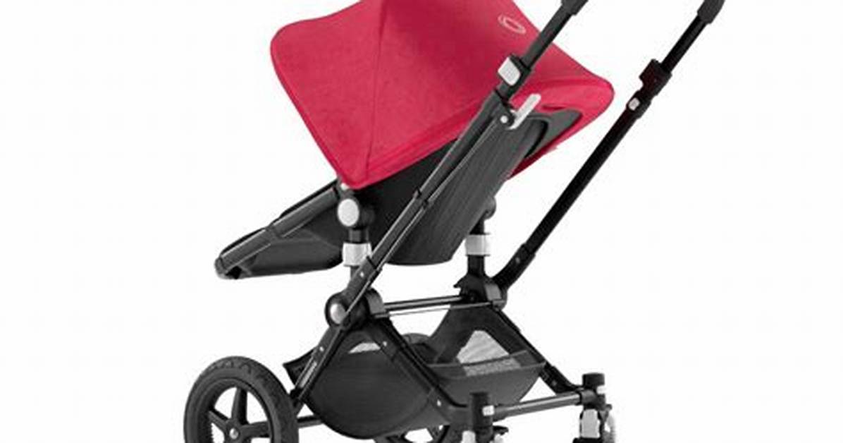 Which Bugaboo Cameleon Do I Have?