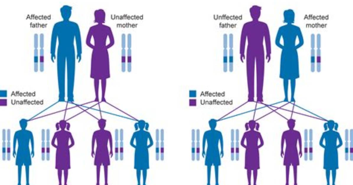 Which Cannot Be Inherited from a Base Class in Java Programming