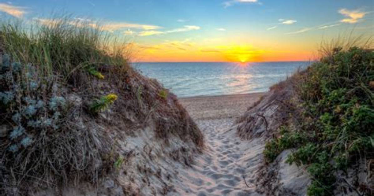 Which Cape Cod Beach Is Best
