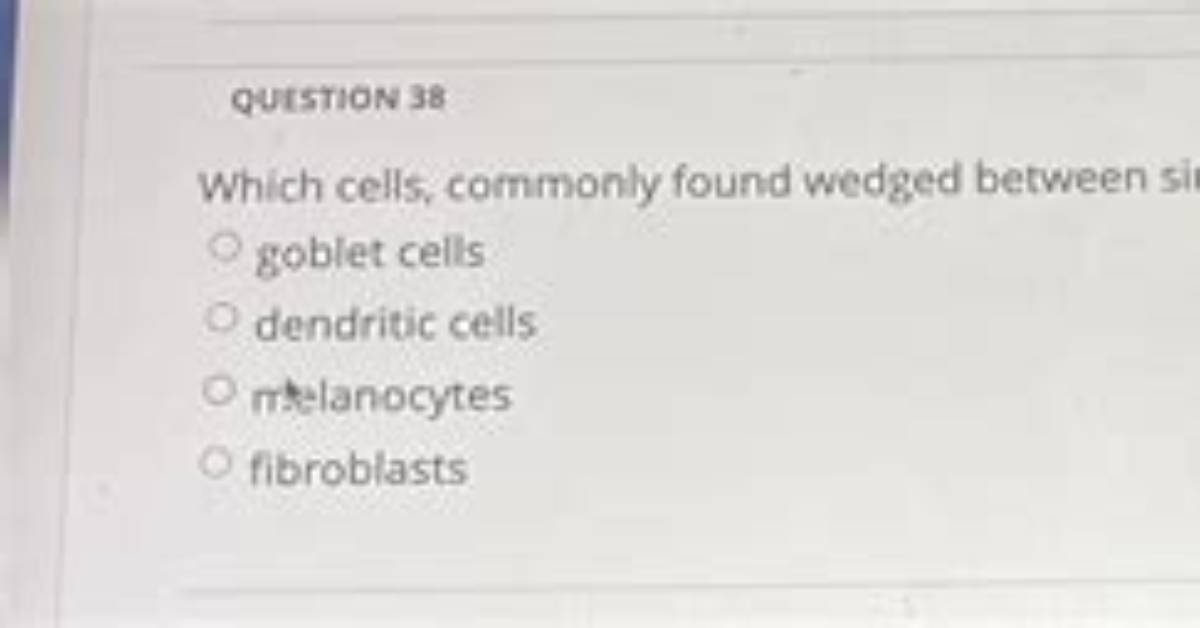 Which Cells Are Commonly Found Wedged Between Simple?