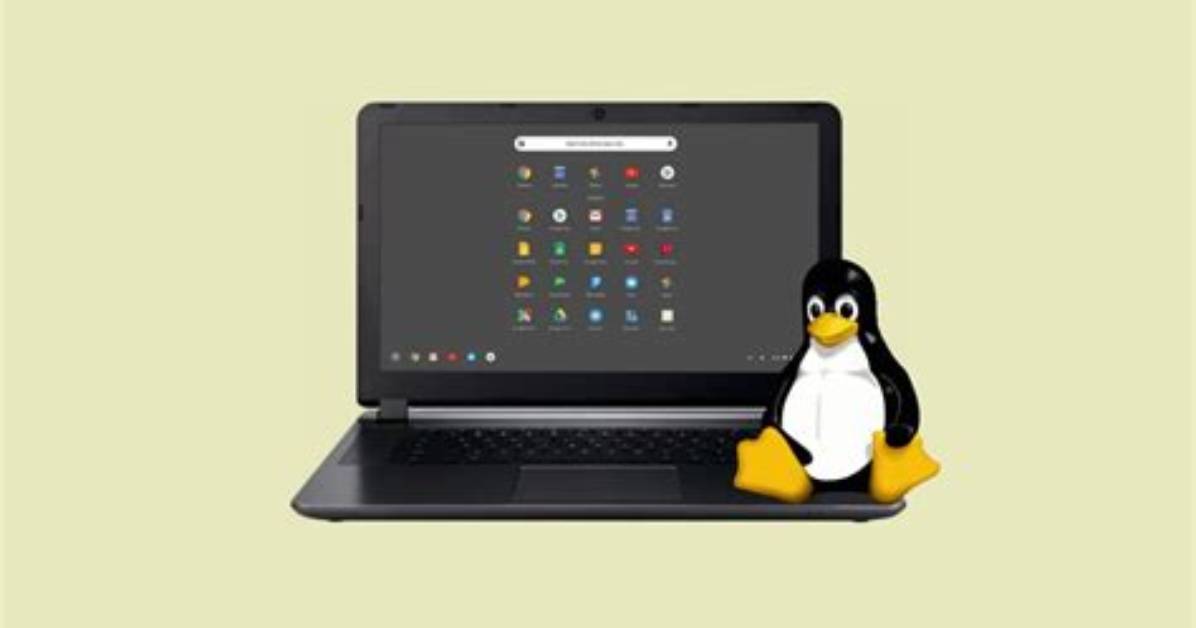 Which Chromebook Can Run Linux?
