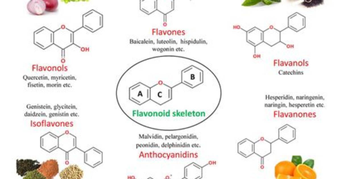 Which Cocoa Has Most Flavonoids?