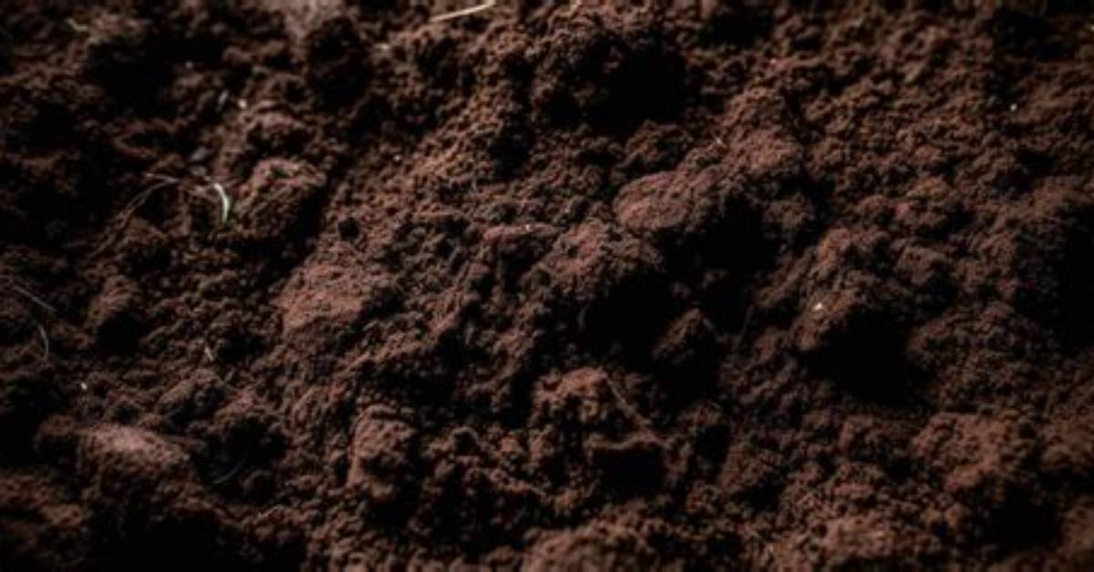 Which Colour Is Loamy Soil?