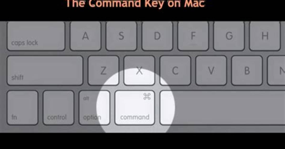 Which Command Will Be Used for Disabling a Service in Linux?