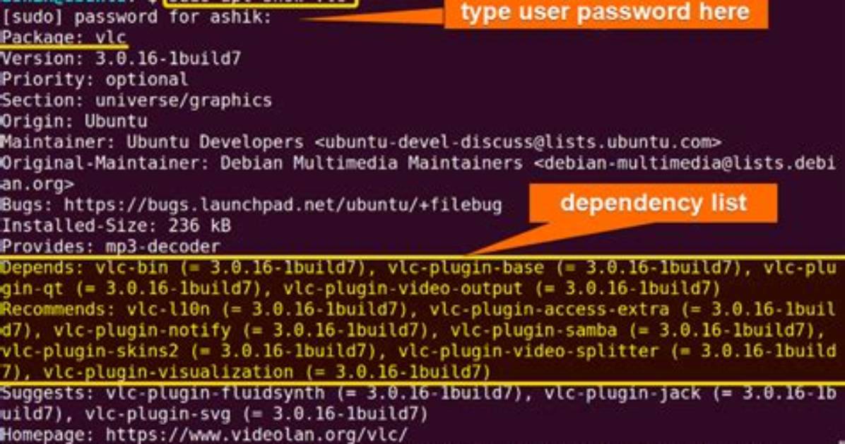 Which Command Will Show the Dependencies of a Debian Package?