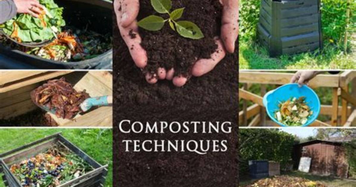 Which Composting Method Is the Best