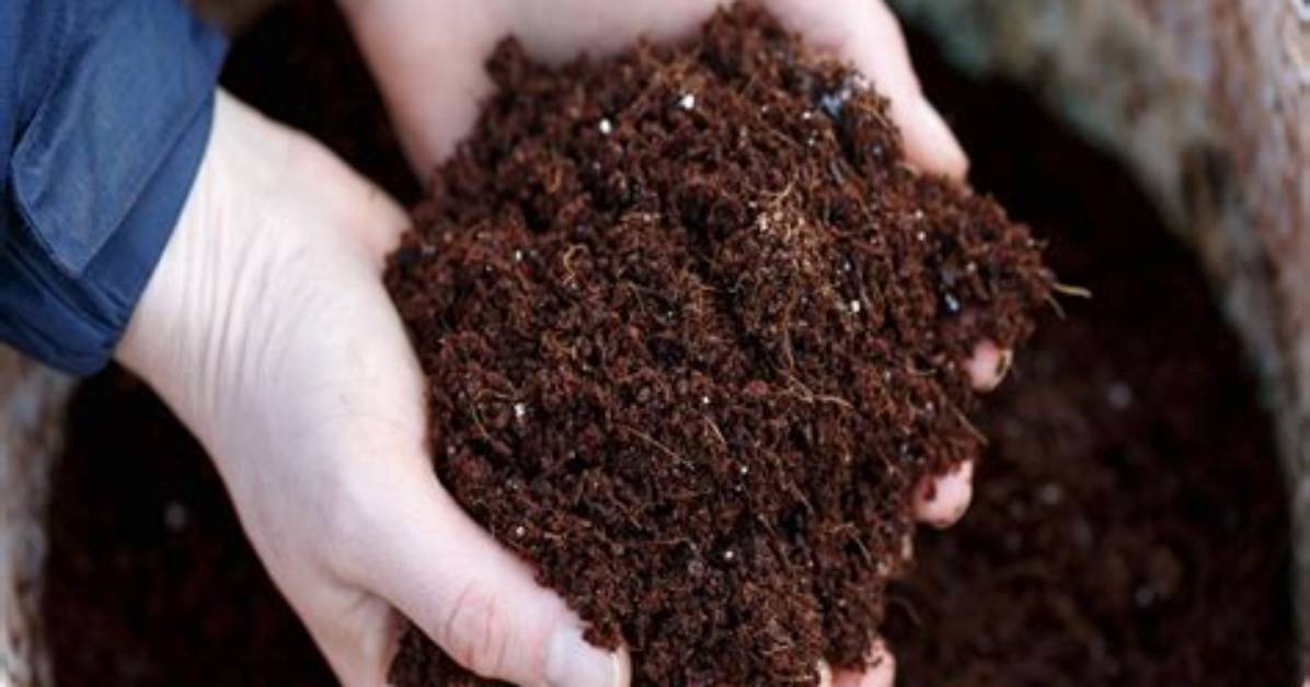 Which Composts Are Peat Free?
