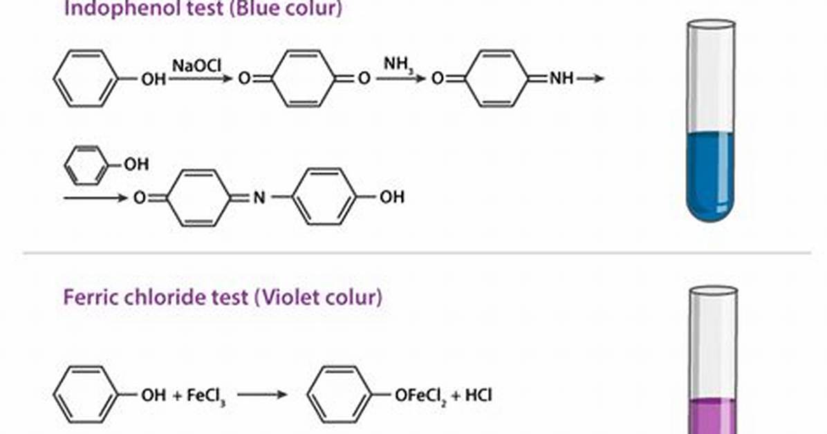 Which Compounds Give Fecl3 Test?