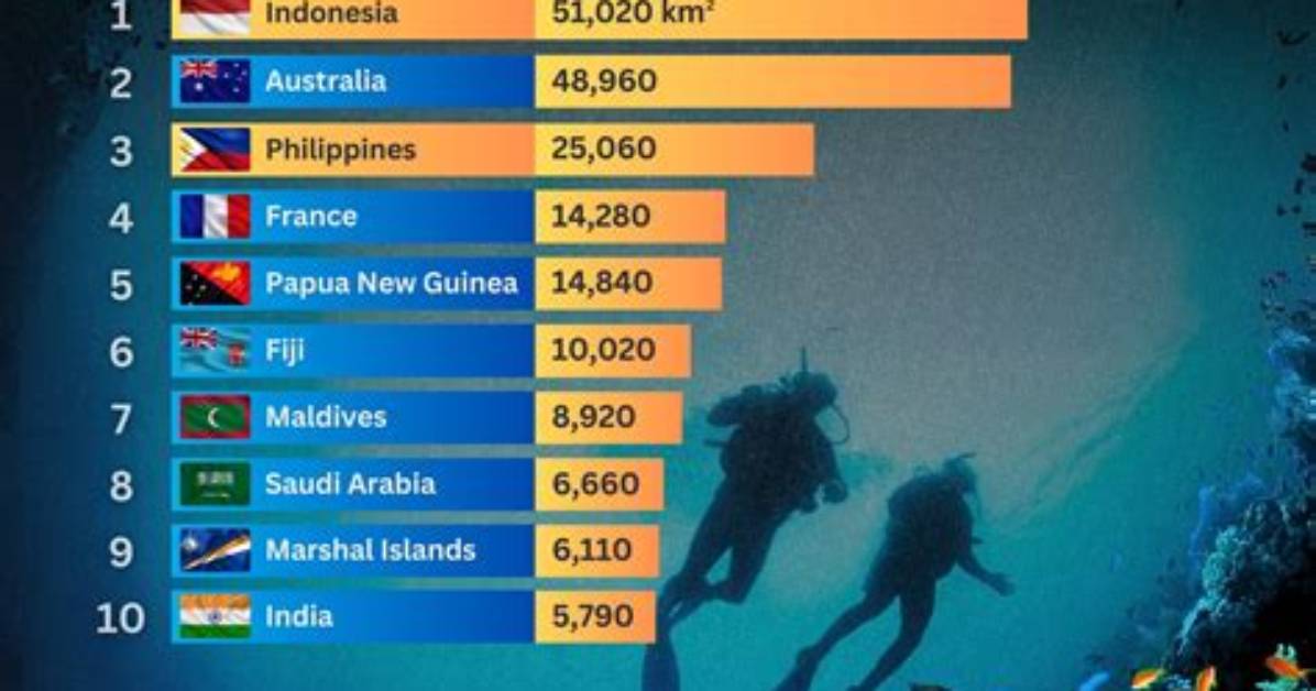 Which Countries Have Reefs?