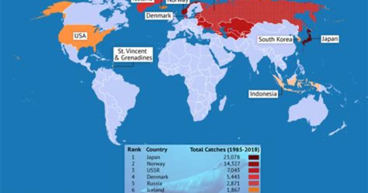 Which Countries Still Do Whaling?