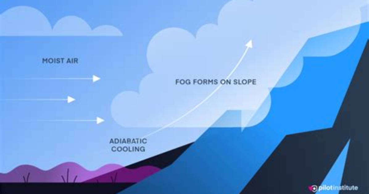 Which Describes Where Fog Forms? ?