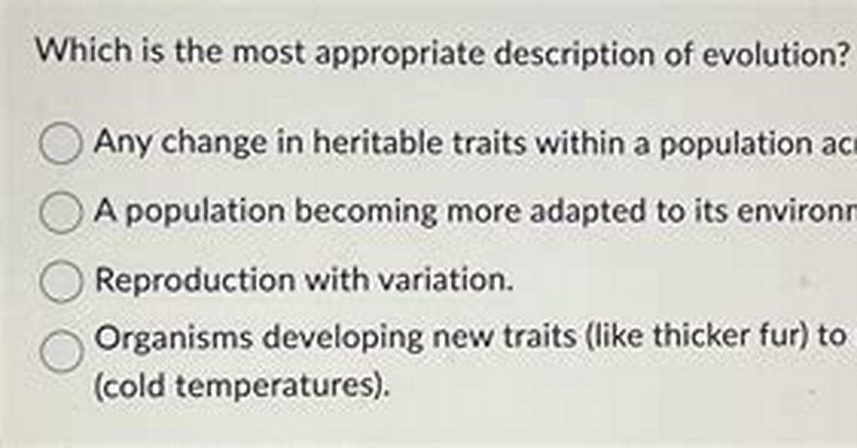 Which Description Is Most Appropriate for a Myofibril?