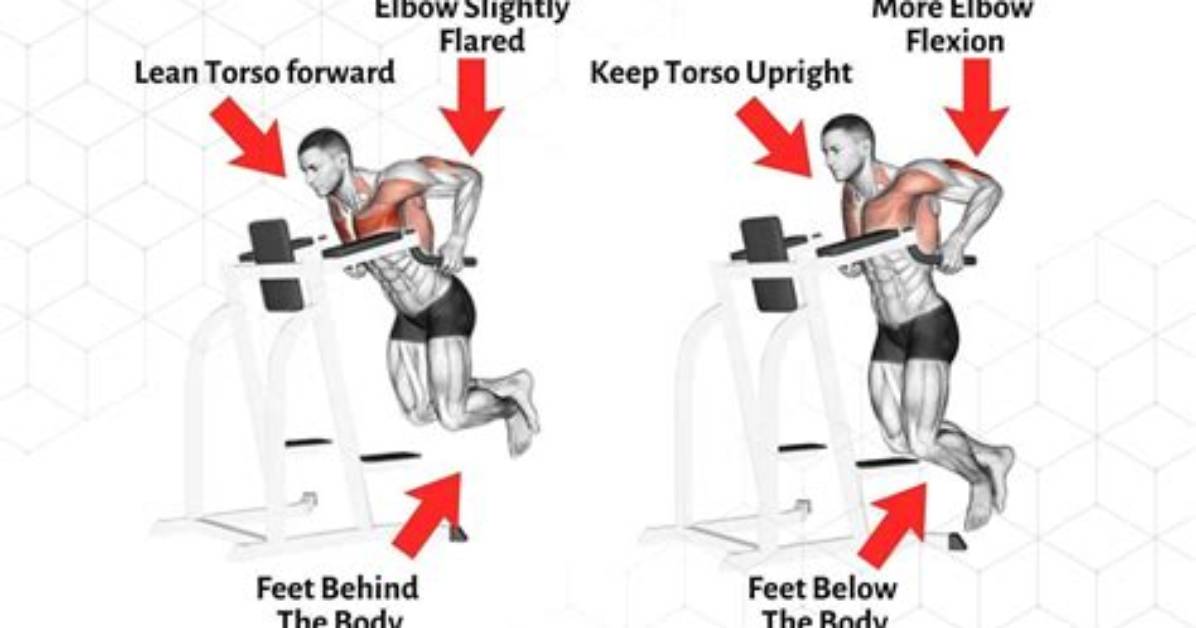 Which Dips Are Better for Triceps?