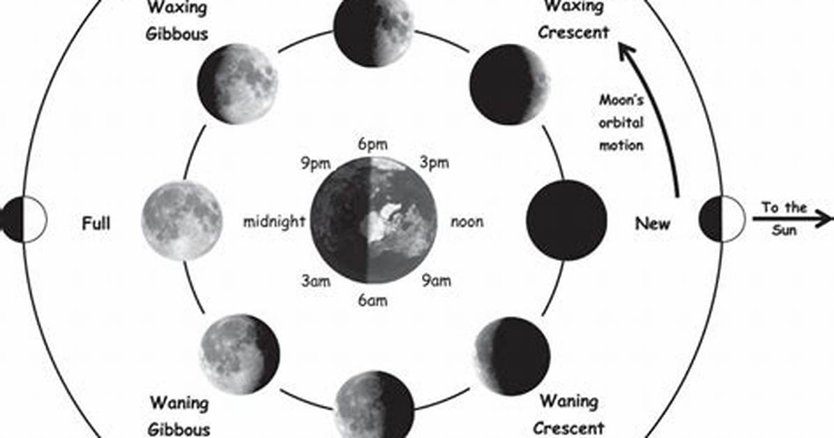 Which Direction Does a Quarter Moon Rise