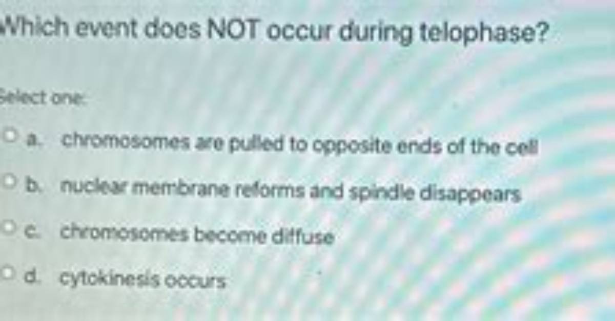 Which Does Not Occur During Telophase