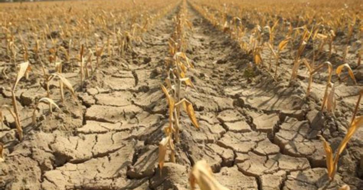 Which Drought Affects Crop Production?