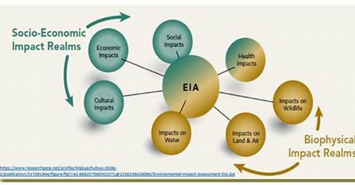 Which Eia Tool Identify Action-Effect-Impact Relationships?
