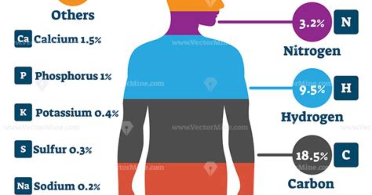 Which Element Is Maximum in Human Body