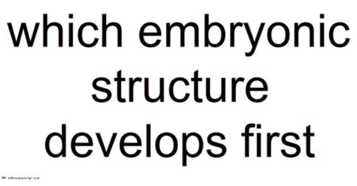 Which Embryonic Structure Develops First?