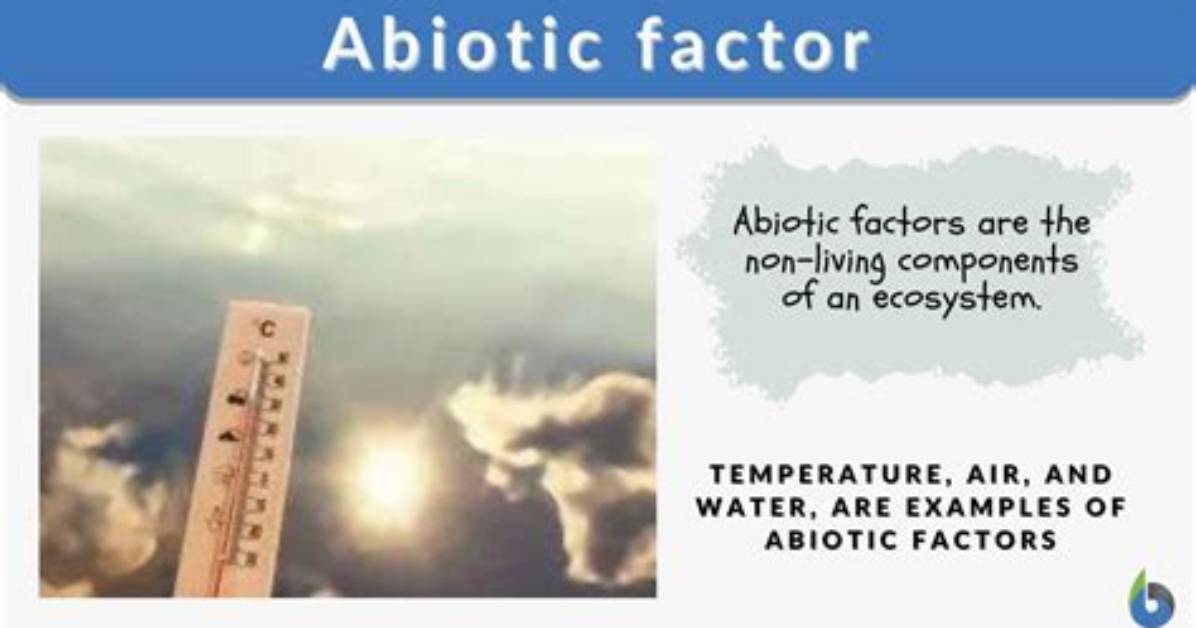 Which Environmental Factor Is Abiotic?