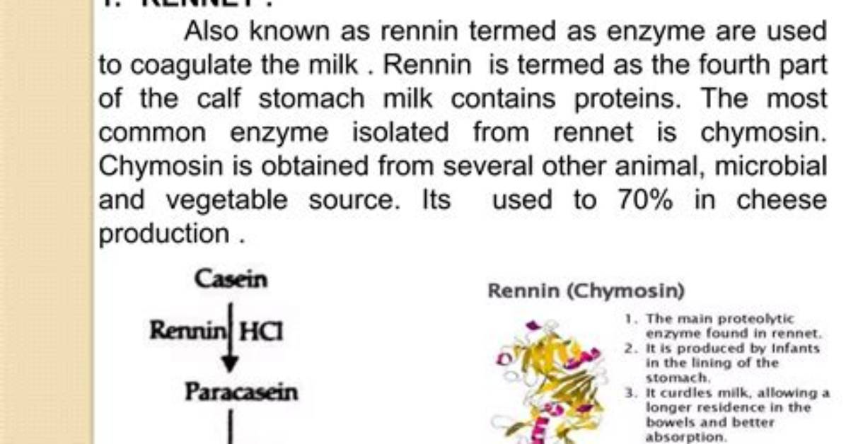 Which Enzyme Curdles Milk?