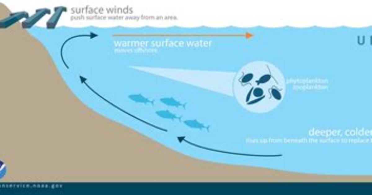 Which Event Causes Upwelling?