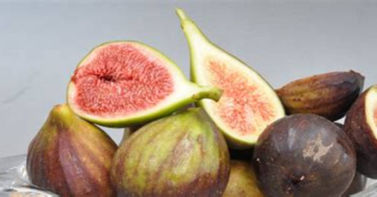 Which Figs Are Not Edible