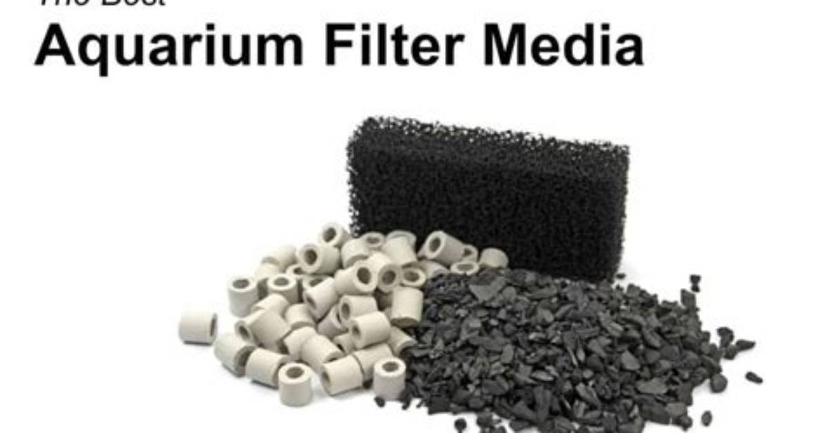 Which Filter Media Is Best