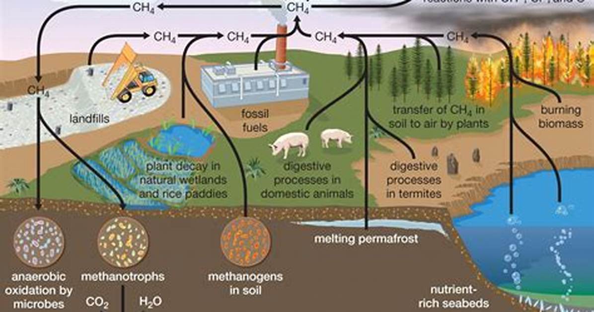 Which Gas Is Methane?