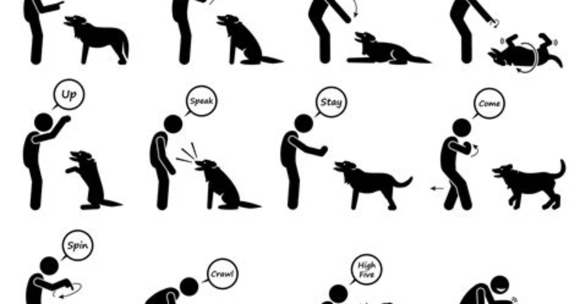 Which Hand Dog Trick?