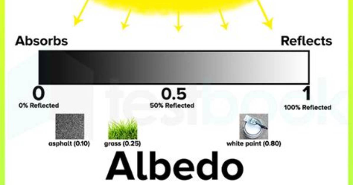 Which Has Highest Albedo?