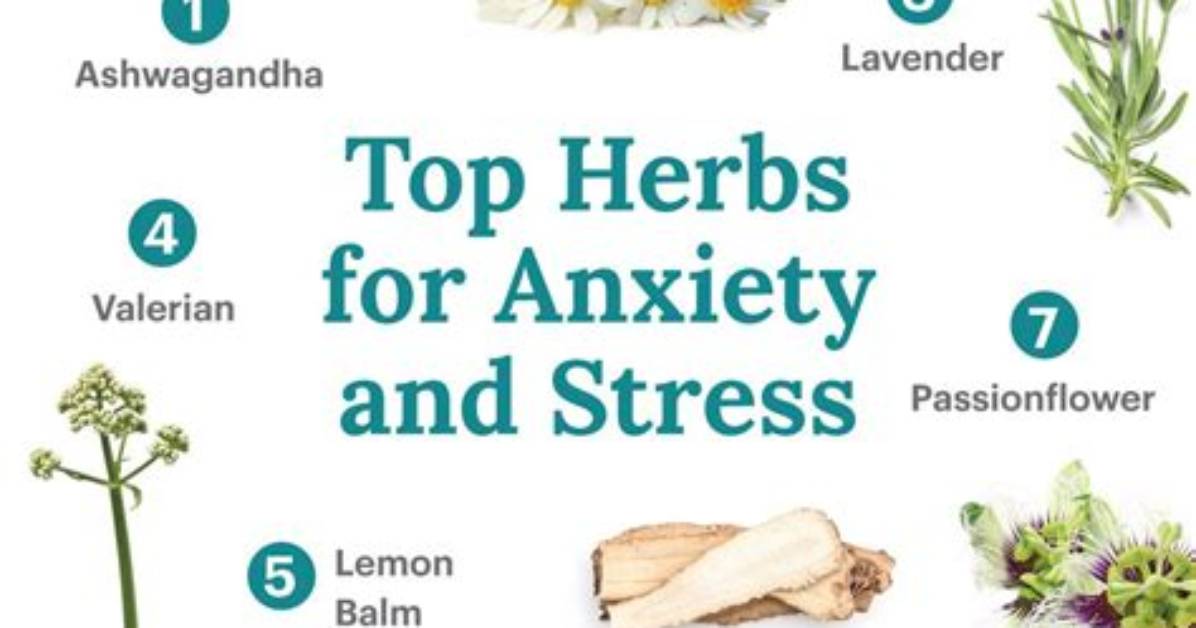 Which Herb Alleviates Stress?