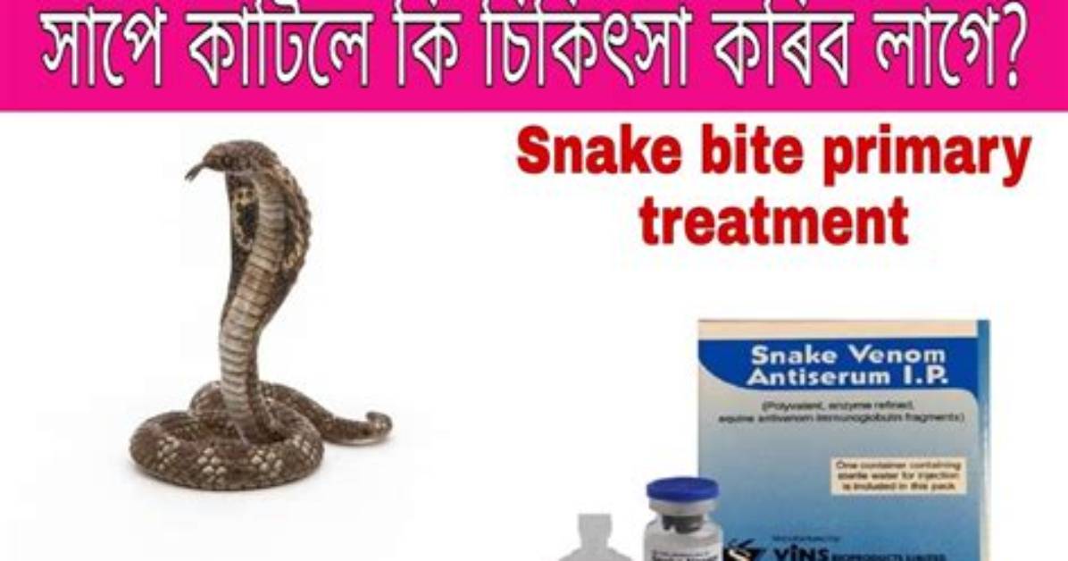 Which Injection Is Given on Snake Bite?