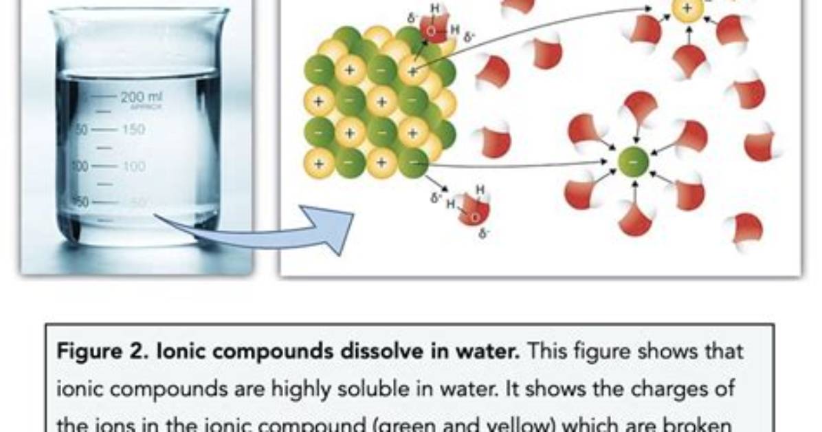 Which Ionic Compound Is Soluble in Water?
