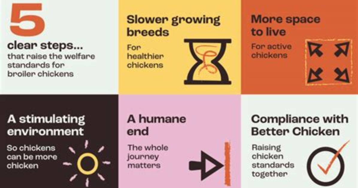 Which Is Better to Eat Chicken or Mutton?