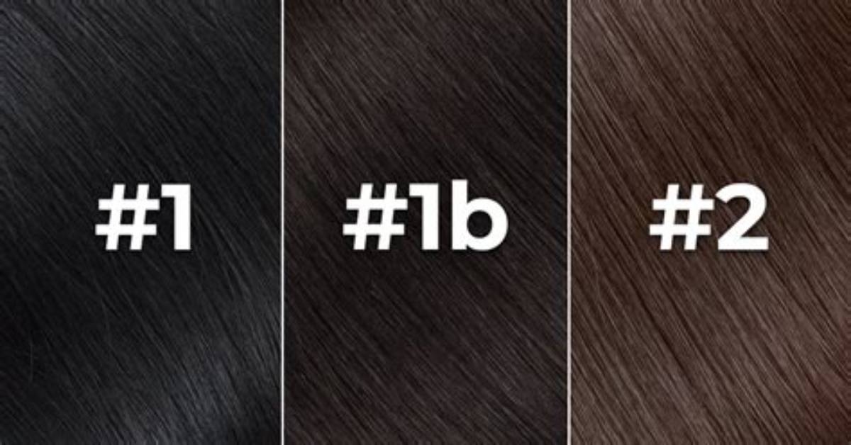Which Is Darker 1 or 1B?