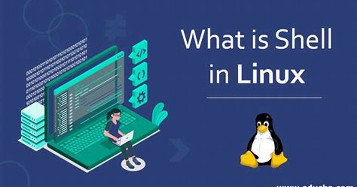 Which Is Not Shell in Linux?