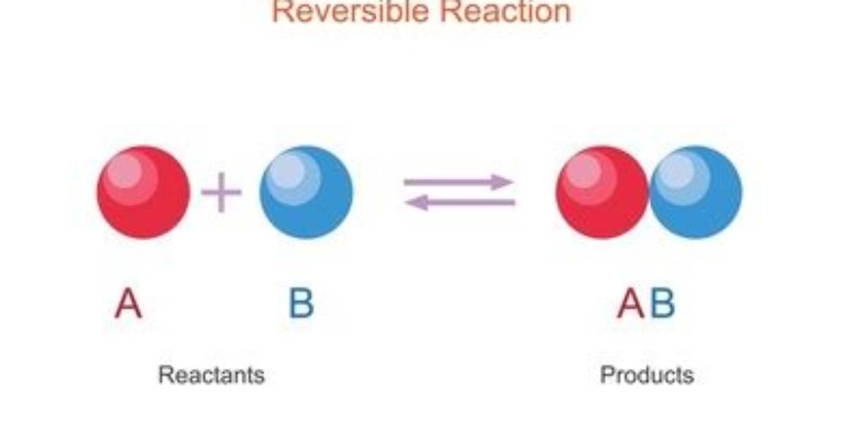 Which Is Reversible Reaction?