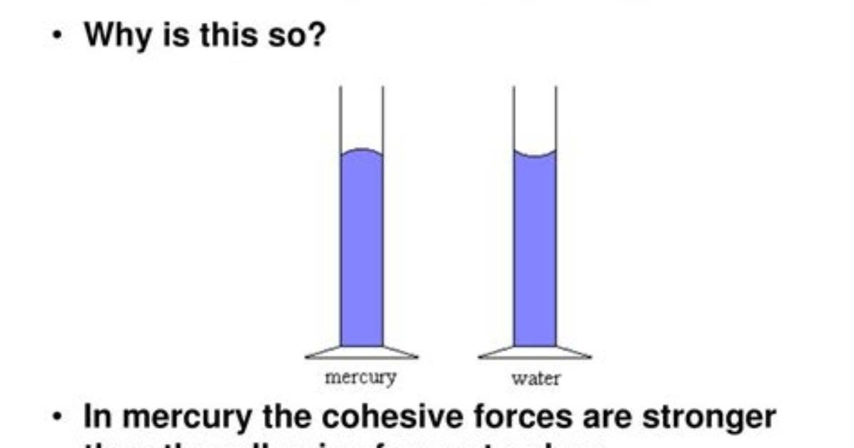 Which Is Stronger Adhesion or Cohesion?