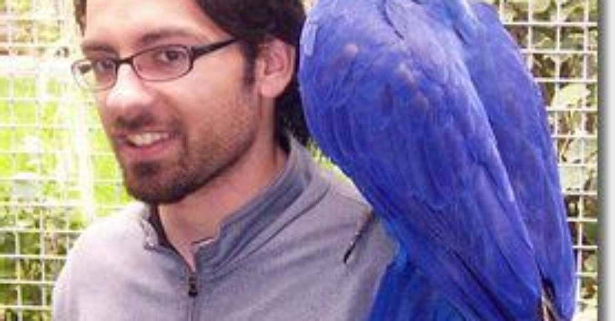 Which Is the Biggest Macaw